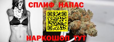 крисы Белореченск