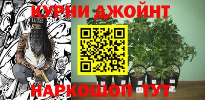 ALPHA PVP Бердск