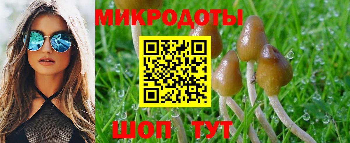 Галлюциногенные грибы MAGIC MUSHROOMS Вышний Волочёк